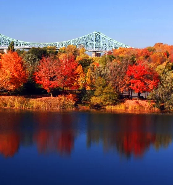 Amazing Things to do in Montreal