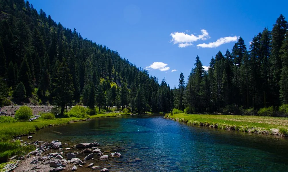 Truckee River in Lake Tahoe