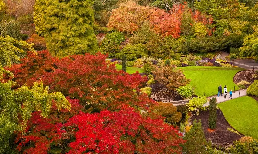 Queen Elizabeth Park
