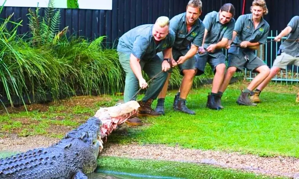 Hands-on Reptile Interaction