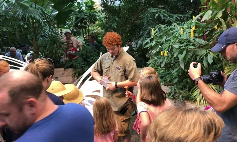 Butterfly Palace in Branson