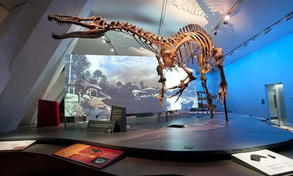 Canadian Museum of Nature Ottawa