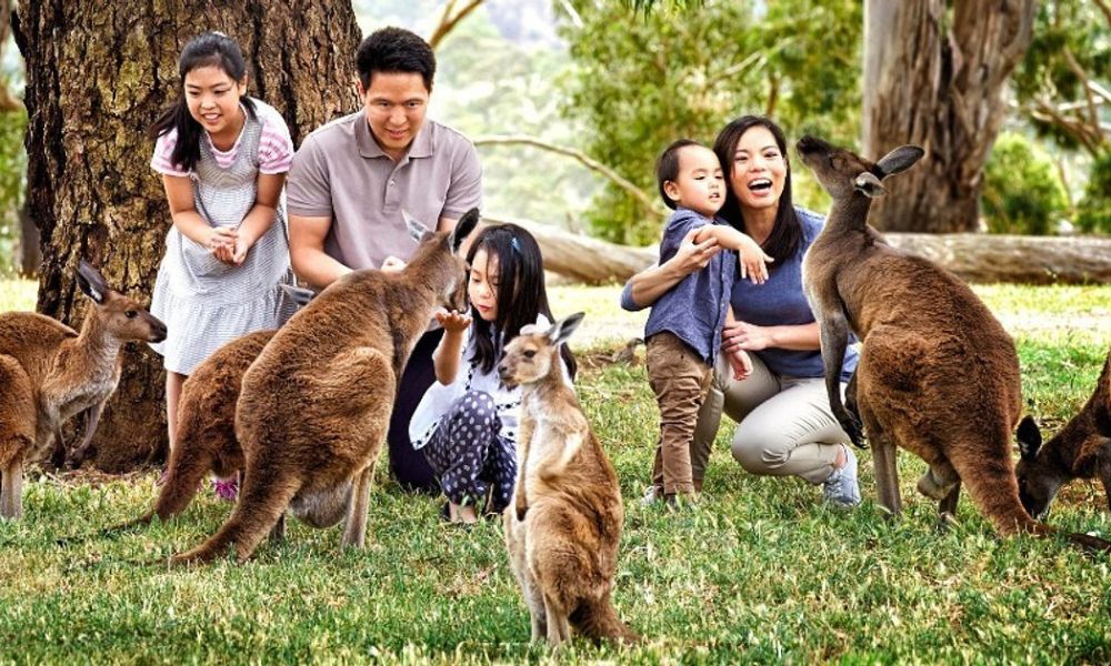 Cleland Conservation Park