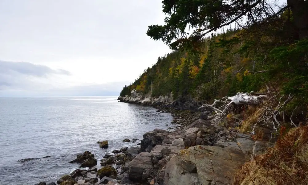 Ferguson’s Cove