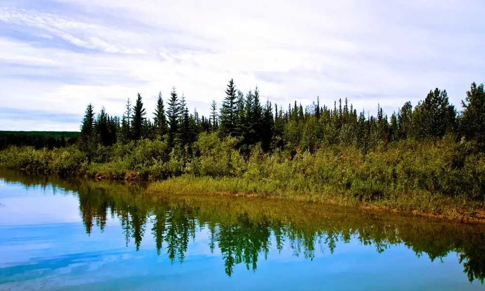 Griffith Woods Park