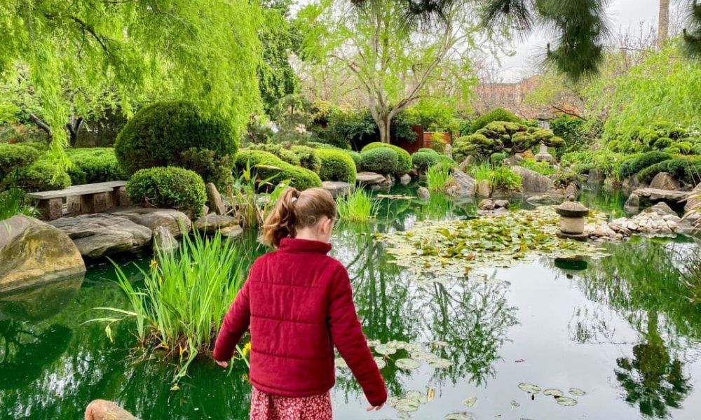 Himeji Garden in Adelaide