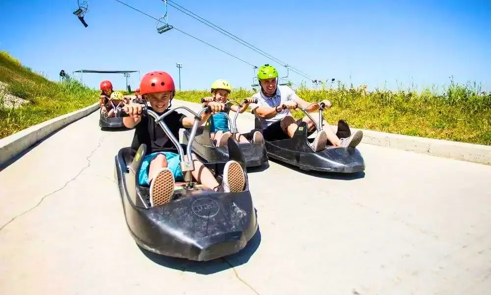 Luge Cart Racing in Calgary