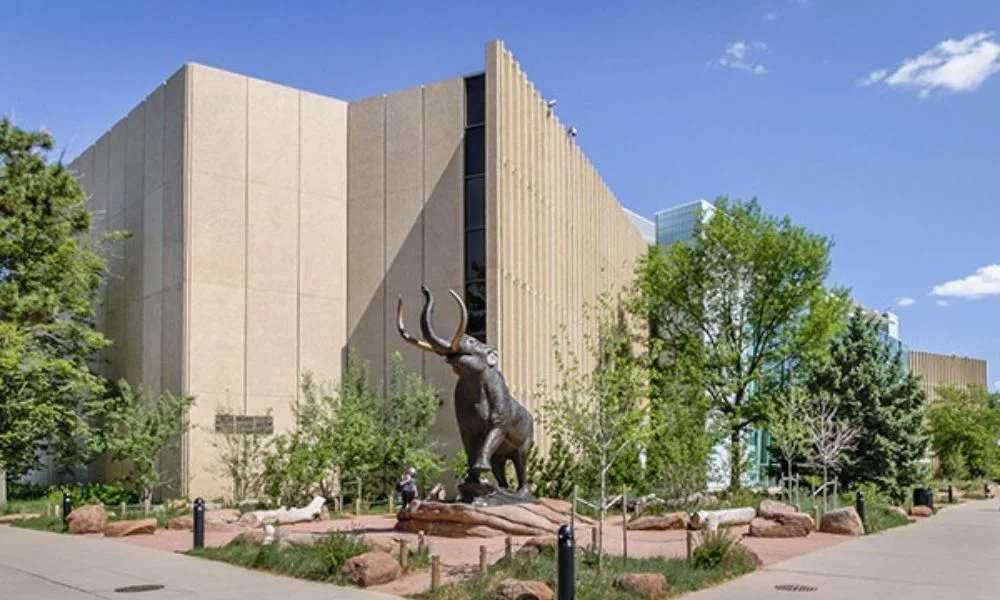 Museum of Nature and Science