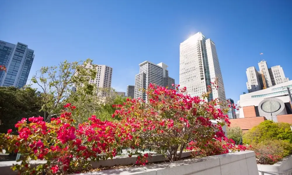 Yerba Buena Gardens