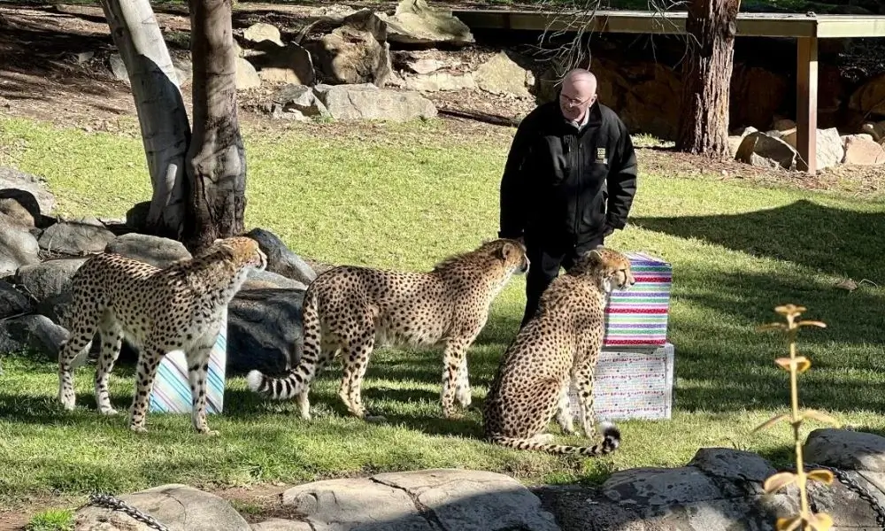 Zoo & Aquarium Complex Canberra 