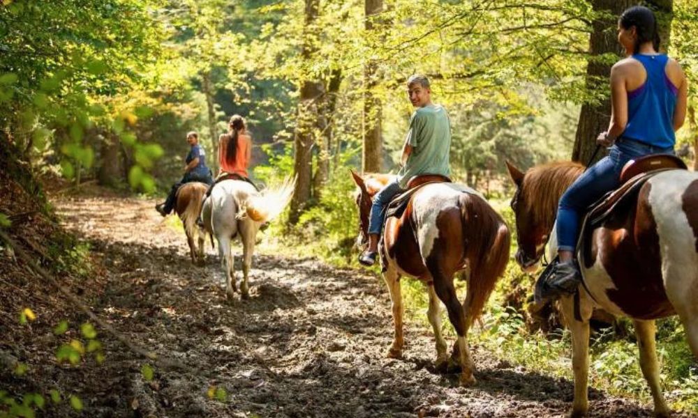 Sugarlands Riding Stables