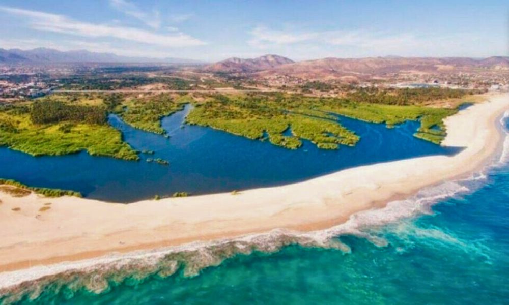 San Jose Estuary (Estero San José)