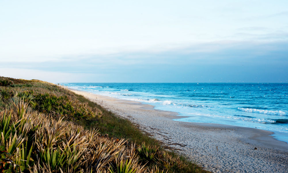 Canaveral National Seashore