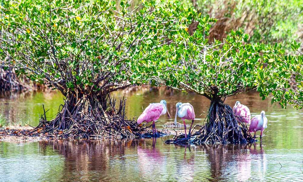 Canaveral National Wildlife Refuge