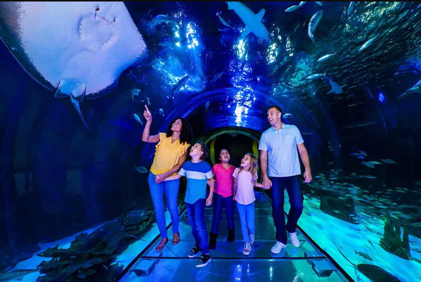 SEA LIFE Orlando Aquarium