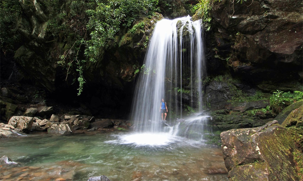 Grotto Falls, Gatlinburg TN