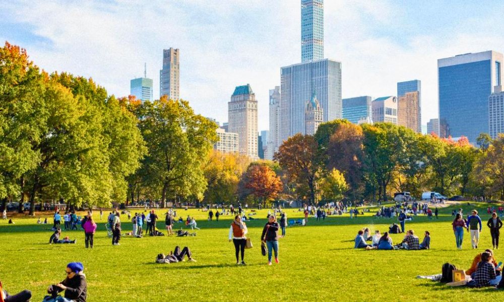 Explore Central Park