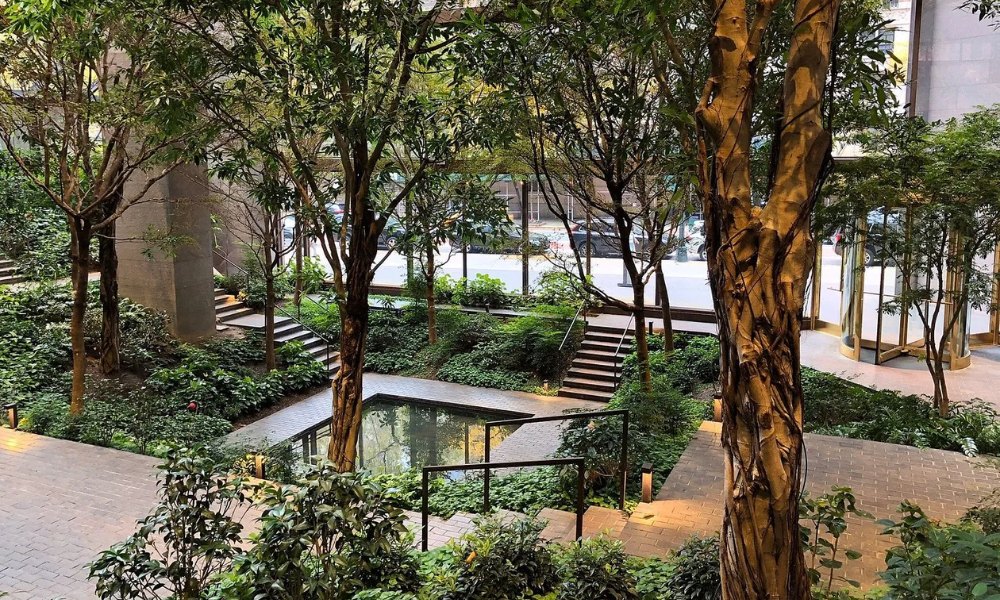 Tropical Rainforest in Queens